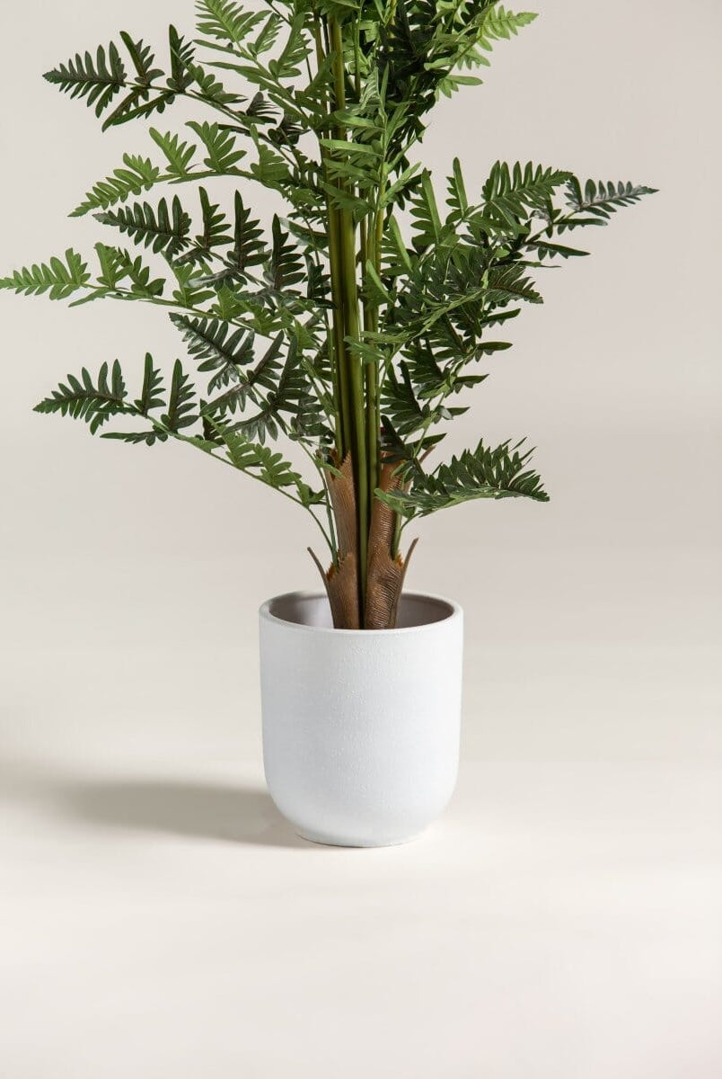 Dicksonia Antarcticaificial Plant (Pot not included)