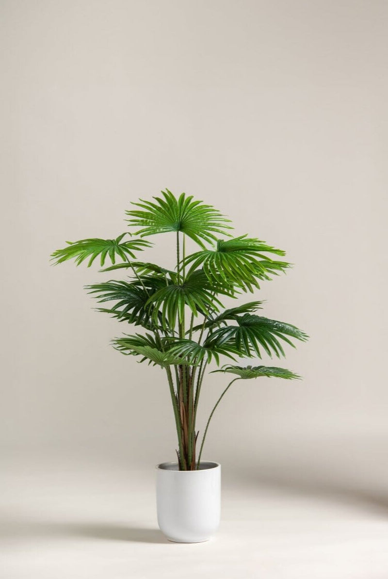 Rhapis Excelsa Artificial Plant