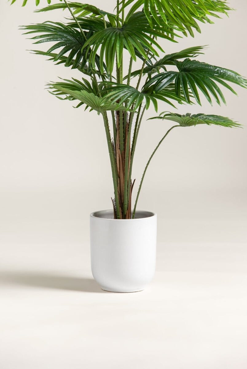 Rhapis Excelsaificial Plant (Pot not included)