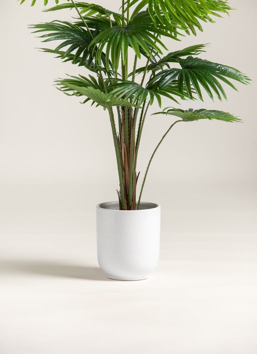Rhapis Excelsaificial Plant (Pot not included)