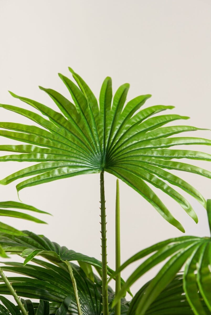 Rhapis Excelsaificial Plant (Pot not included)