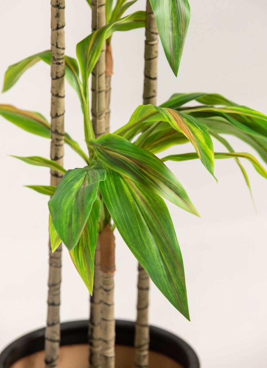 Dracaena Fragransificial Plant (Pot not included)