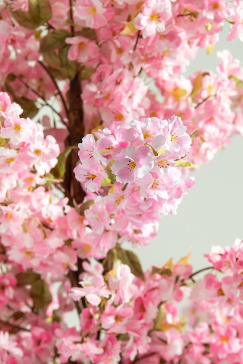 Pink Cherry Blossomificial Plant (Pot not included)