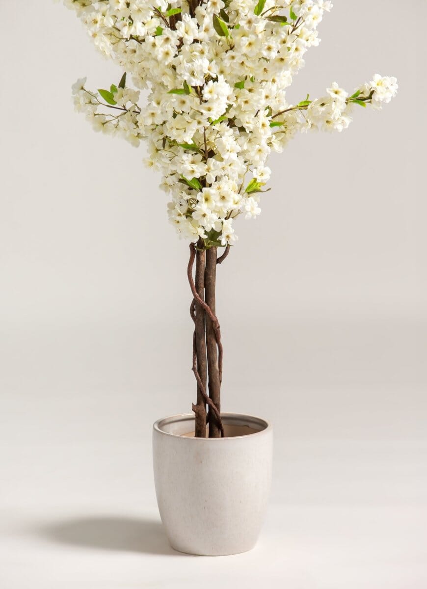 White Cherry Blossomificial Plant (Pot not included)