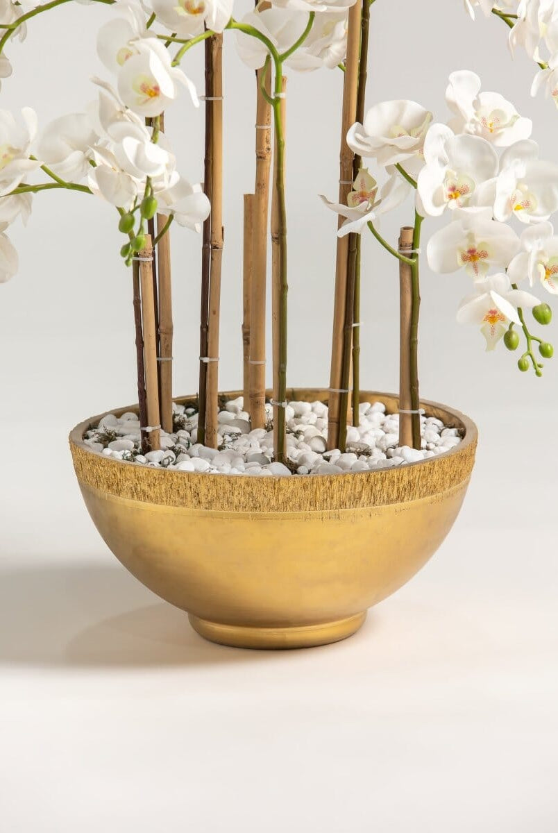 Phalaenopsis Orchidificial Plant II