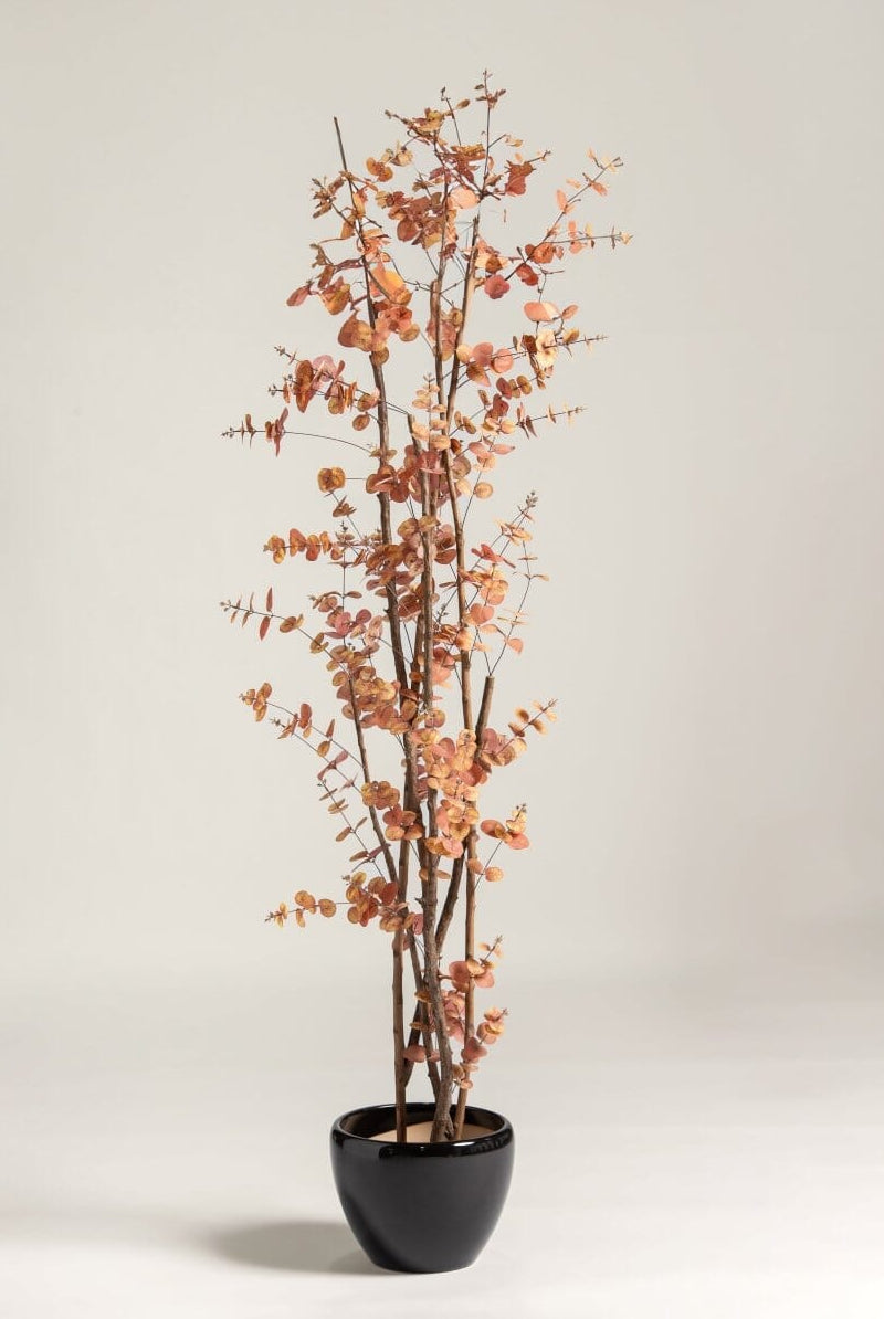 Eucalyptus Cinerea Artificial Plant