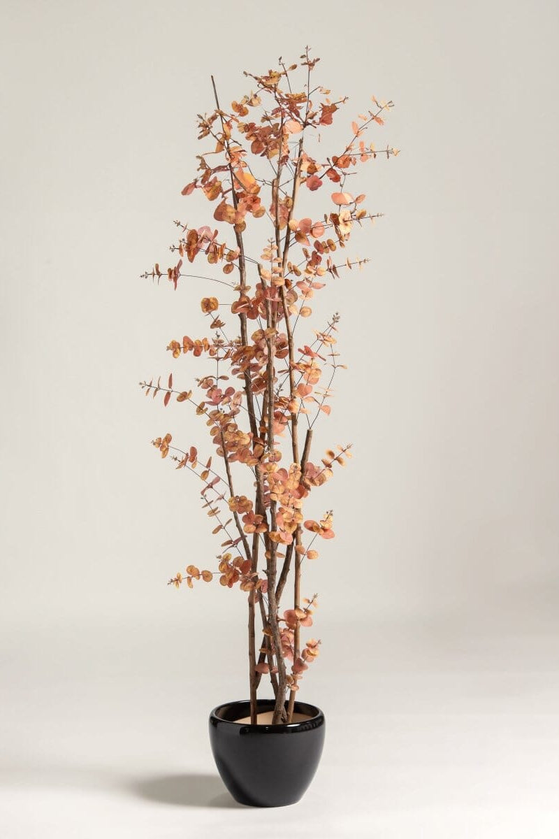 Eucalyptus Cinerea Artificial Plant