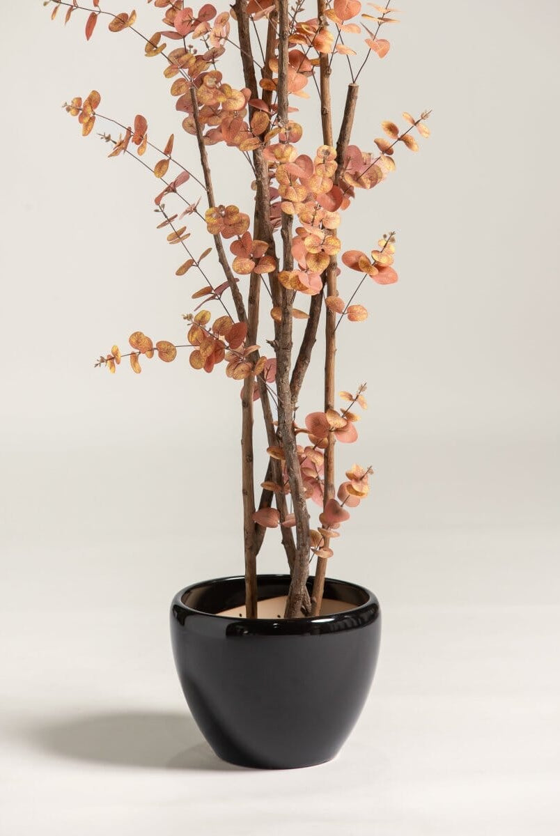 Eucalyptus Cinereaificial Plant (Pot not included)