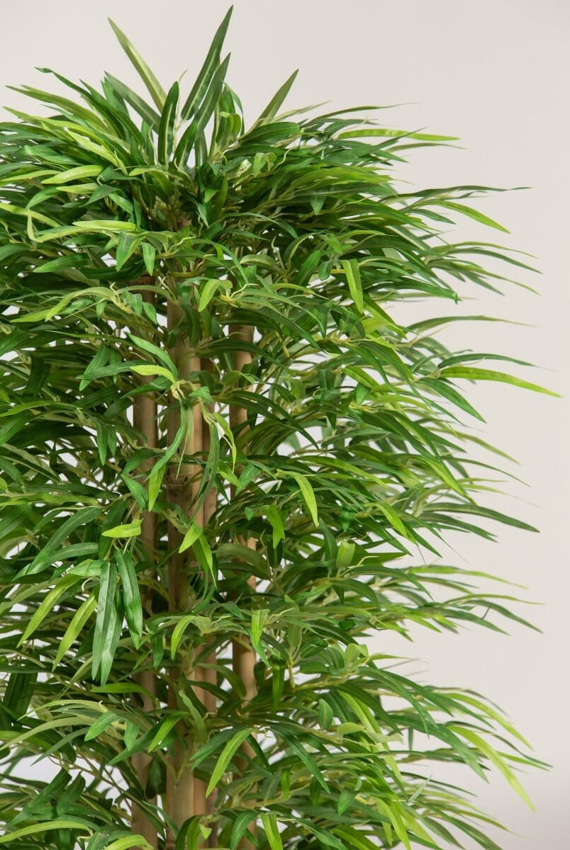 Dracaena Sanderianaificial Plant (Pot not included)