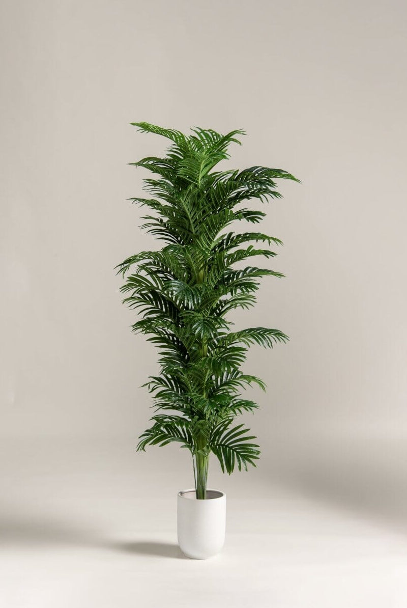 Kentia Palm Artificial Plant