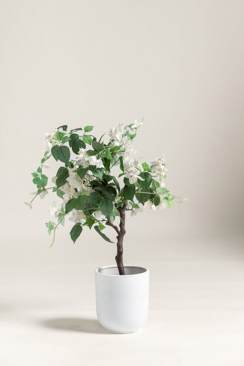 Bougainvillea Glabra Artificial Plant