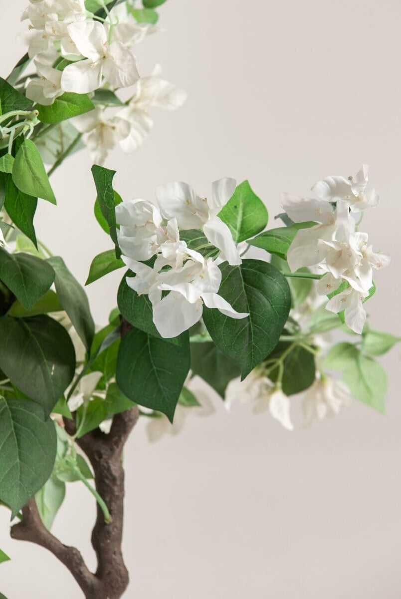 Bougainvillea Glabraificial Plant (Pot not included)