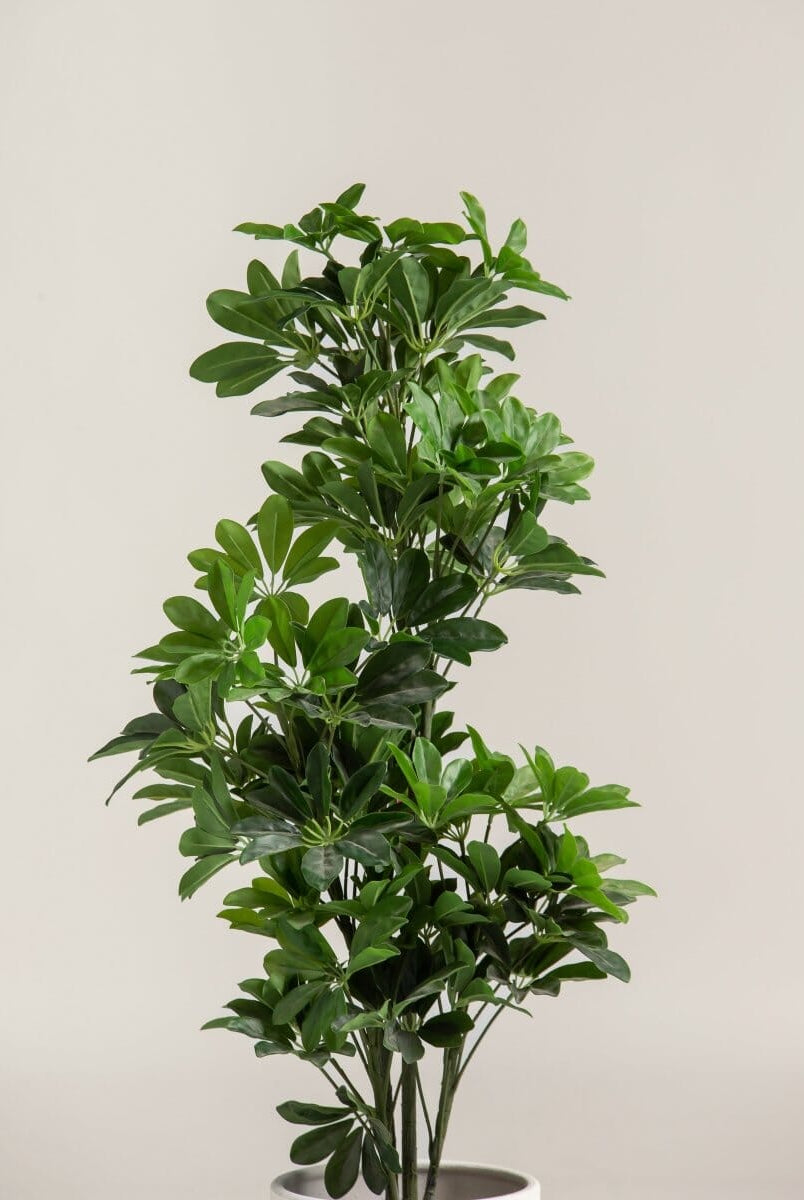 Schefflera Arboricolaificial Plant (Pot not included)