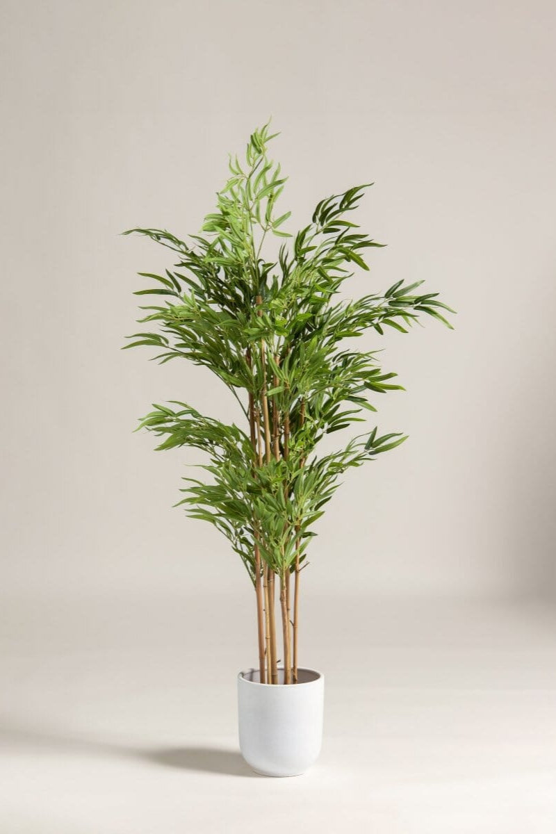 Bambusa Vulgaris Bamboo Artificial Plant