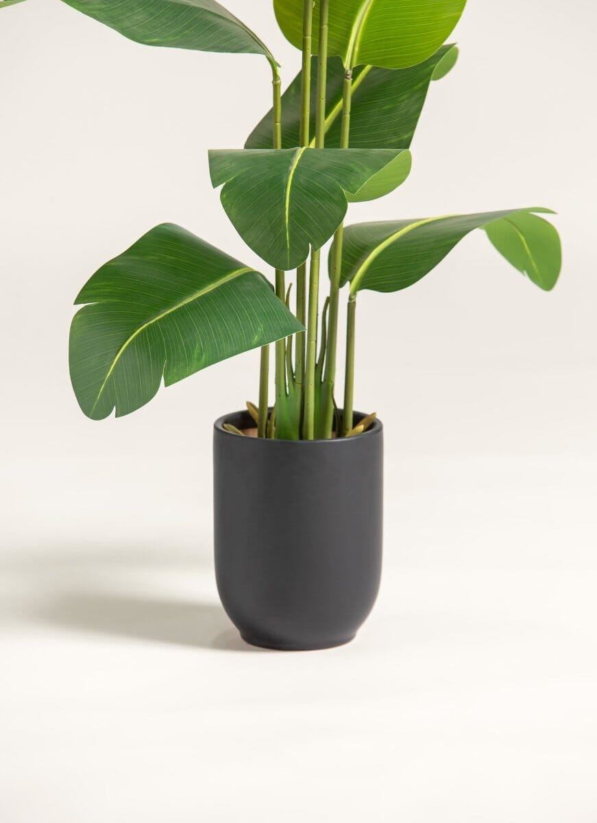 Strelitzia Nicolaiificial Plant (4 Sizes)(Pot not included)