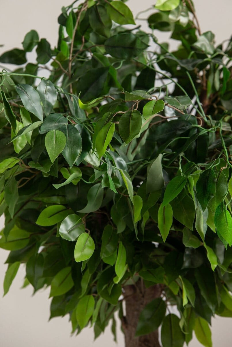 Ficus Benjaminaificial Tree With Natural Wood Trunk (3 Sizes)