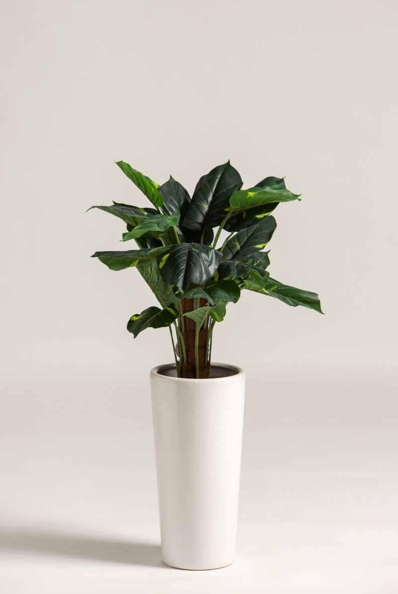 Alocasia Artificial Plant