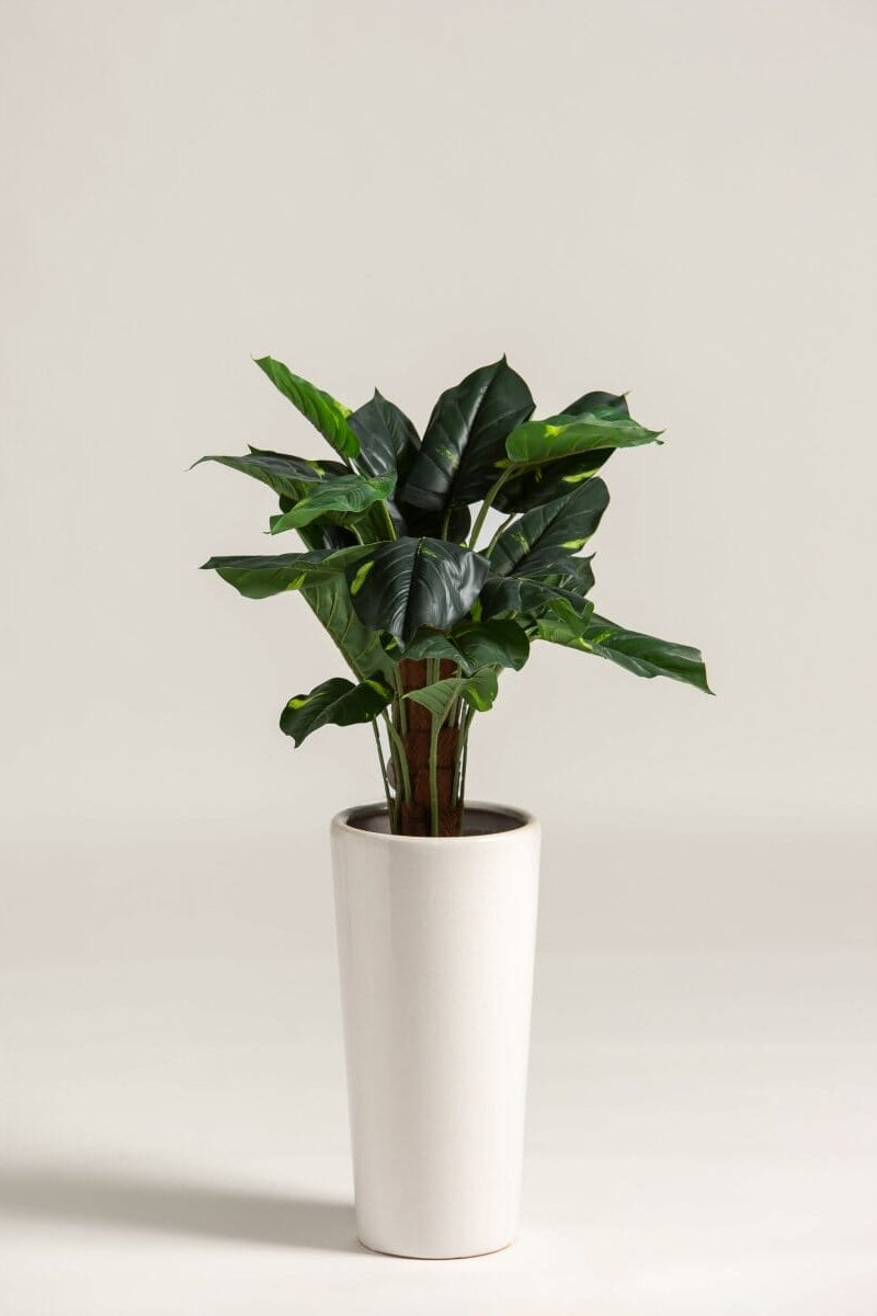 Alocasia Artificial Plant