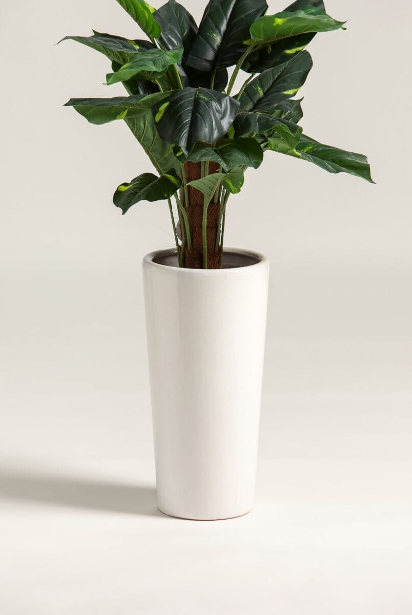Alocasiaificial Plant (Pot not included)