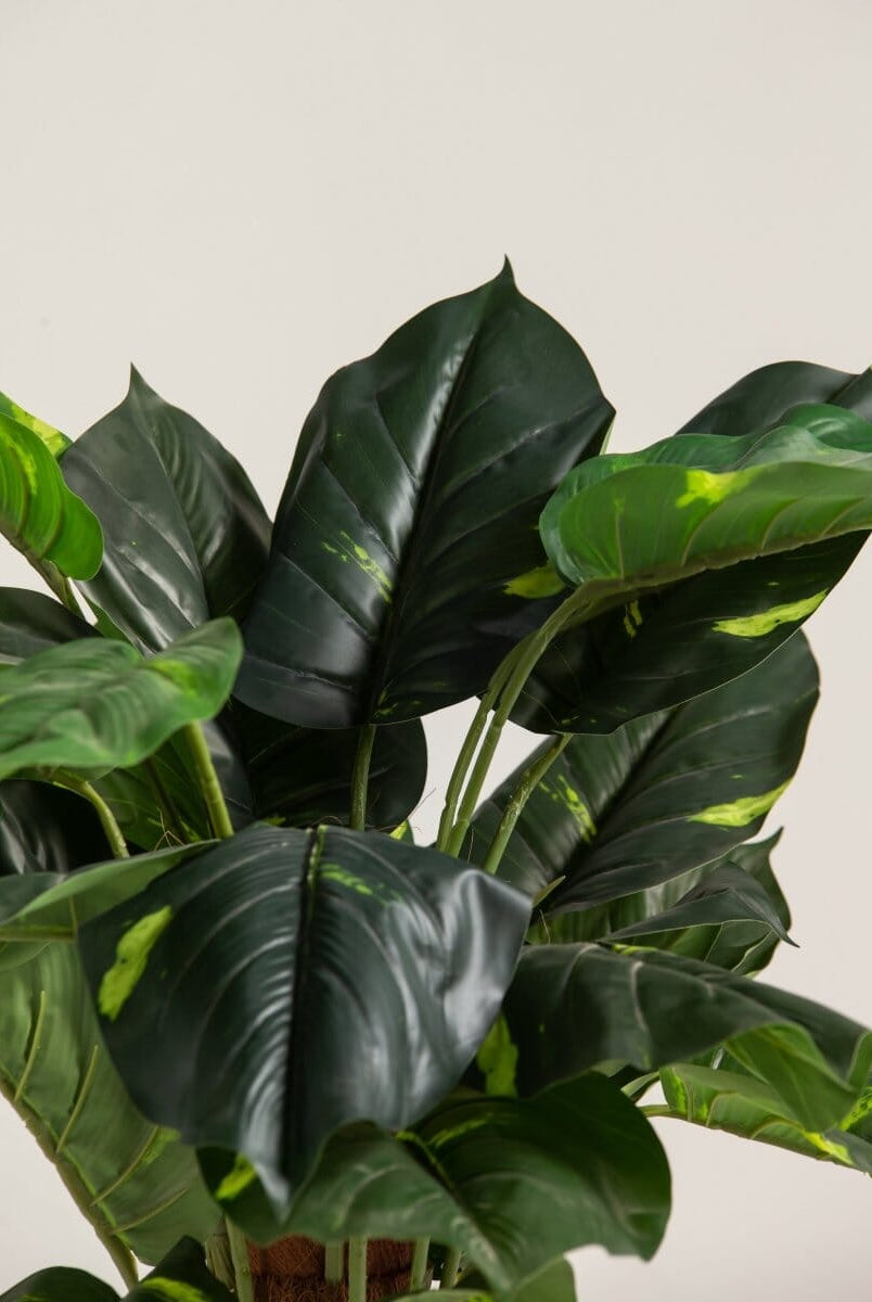 Alocasiaificial Plant (Pot not included)