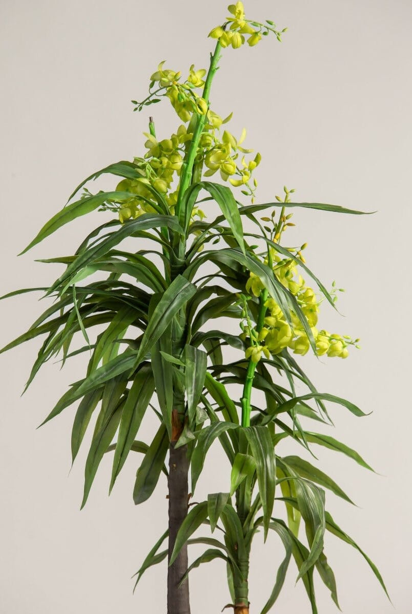 Dendrobium Orchidificial Plant (3 Sizes)(Pot not included)