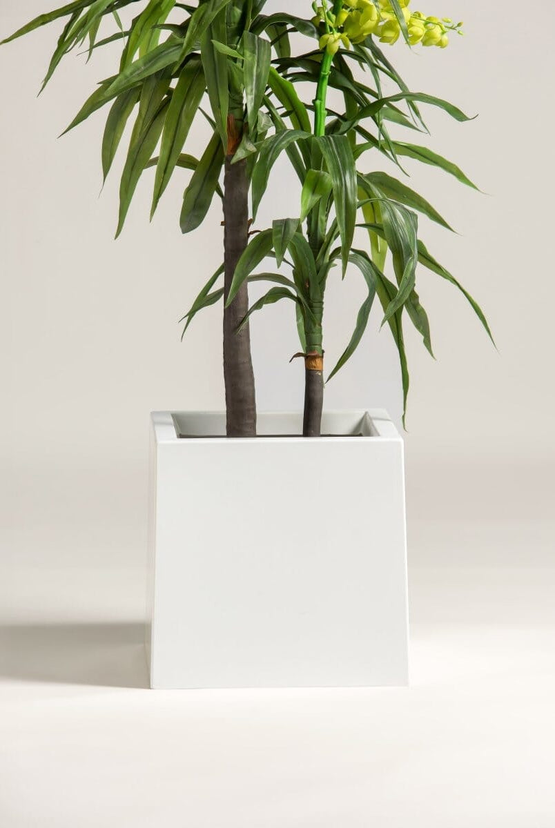 Dendrobium Orchidificial Plant (3 Sizes)(Pot not included)