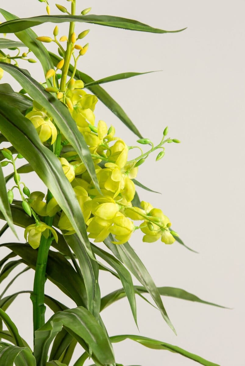 Dendrobium Orchidificial Plant (3 Sizes)(Pot not included)