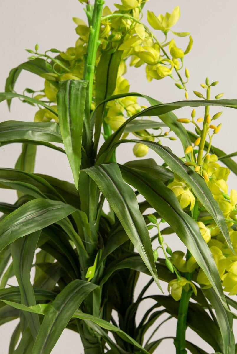 Dendrobium Orchidificial Plant (3 Sizes)(Pot not included)