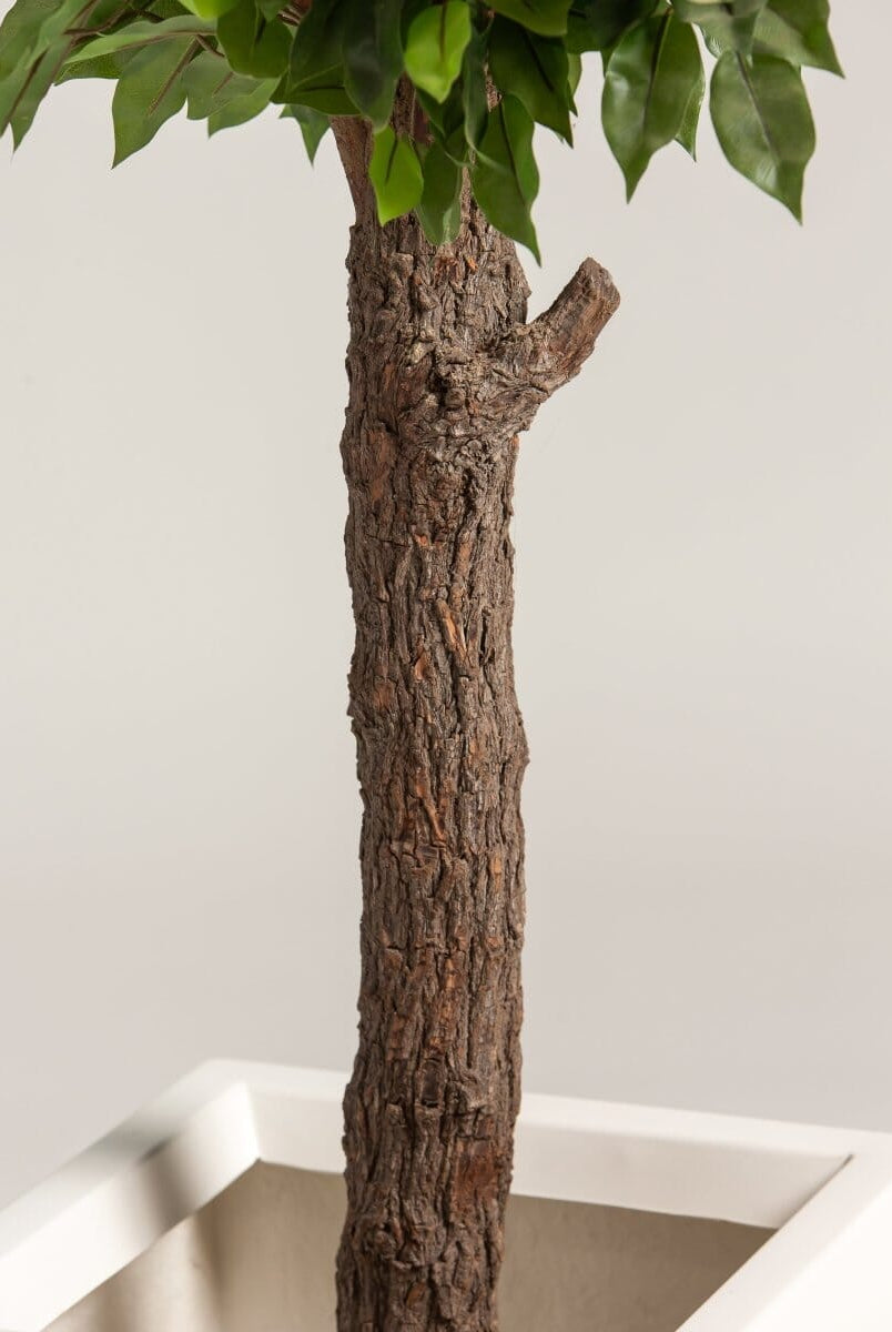 Ficusificial Tree With Natural Wood Trunk (3 Sizes)