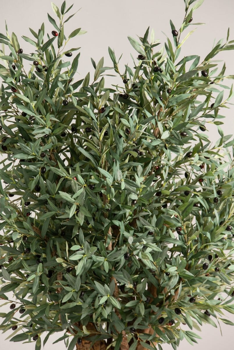 Olea Europaeaificial Tree With Natural Wood Trunk (3 Sizes)