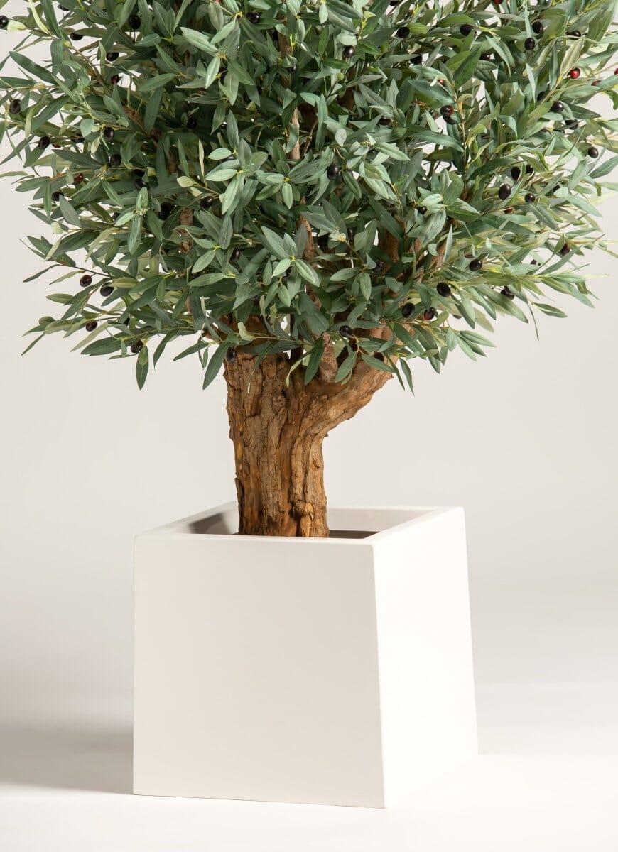 Olea Europaeaificial Tree With Natural Wood Trunk (3 Sizes)