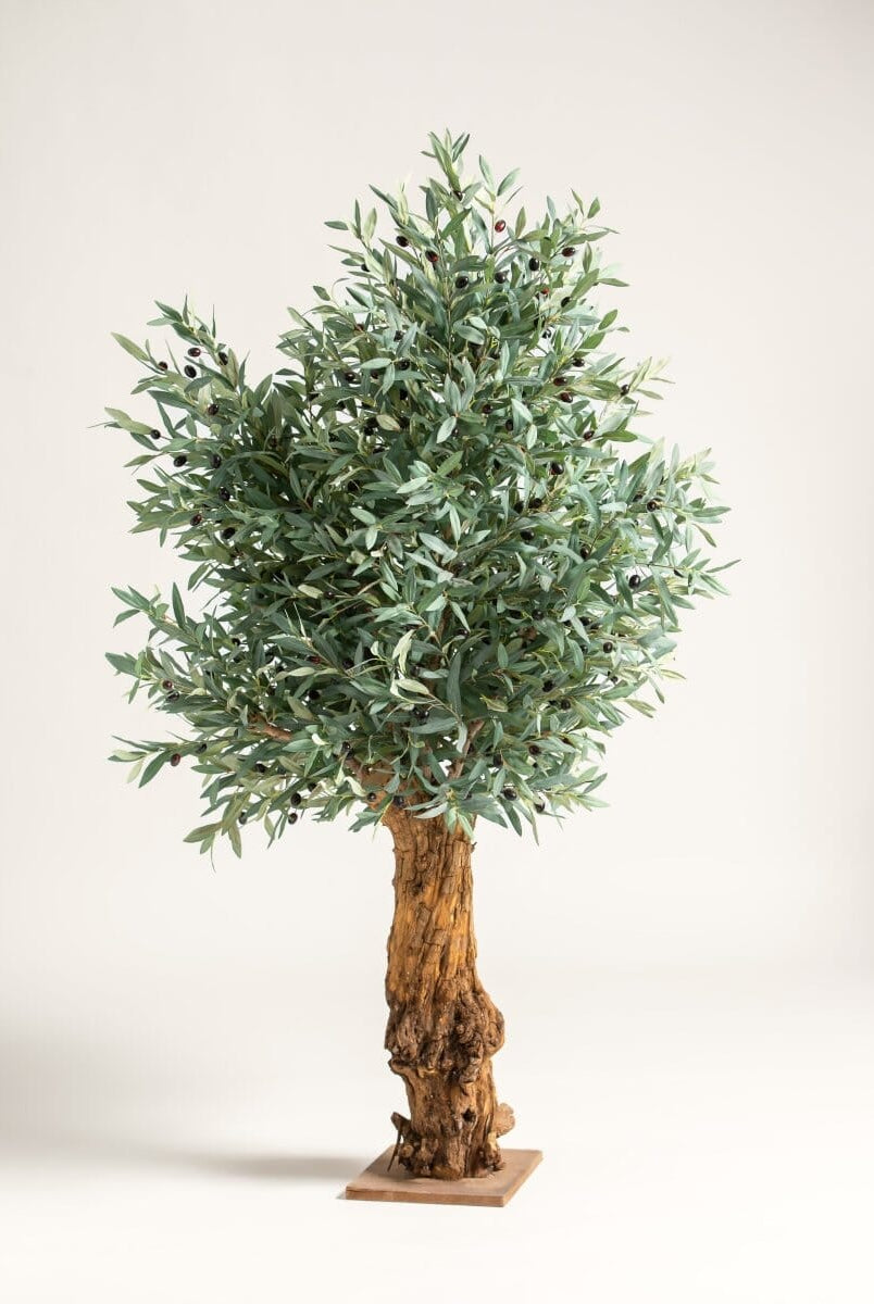 Olea Europaeaificial Tree With Natural Wood Trunk (3 Sizes)