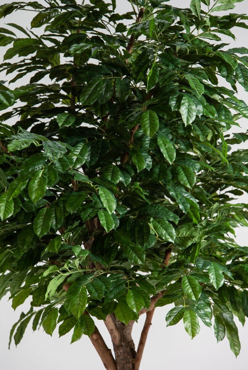 Coffea Arabicaificial Tree With Natural Wood Trunk (3 Sizes)