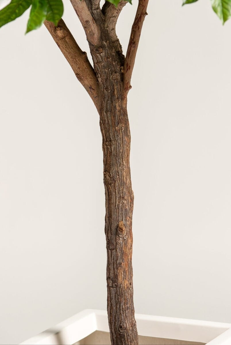 Coffea Arabicaificial Tree With Natural Wood Trunk (3 Sizes)