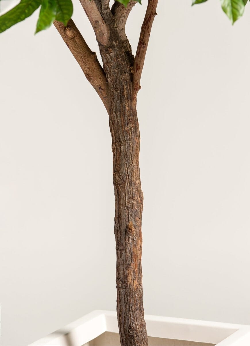 Coffea Arabicaificial Tree With Natural Wood Trunk (3 Sizes)