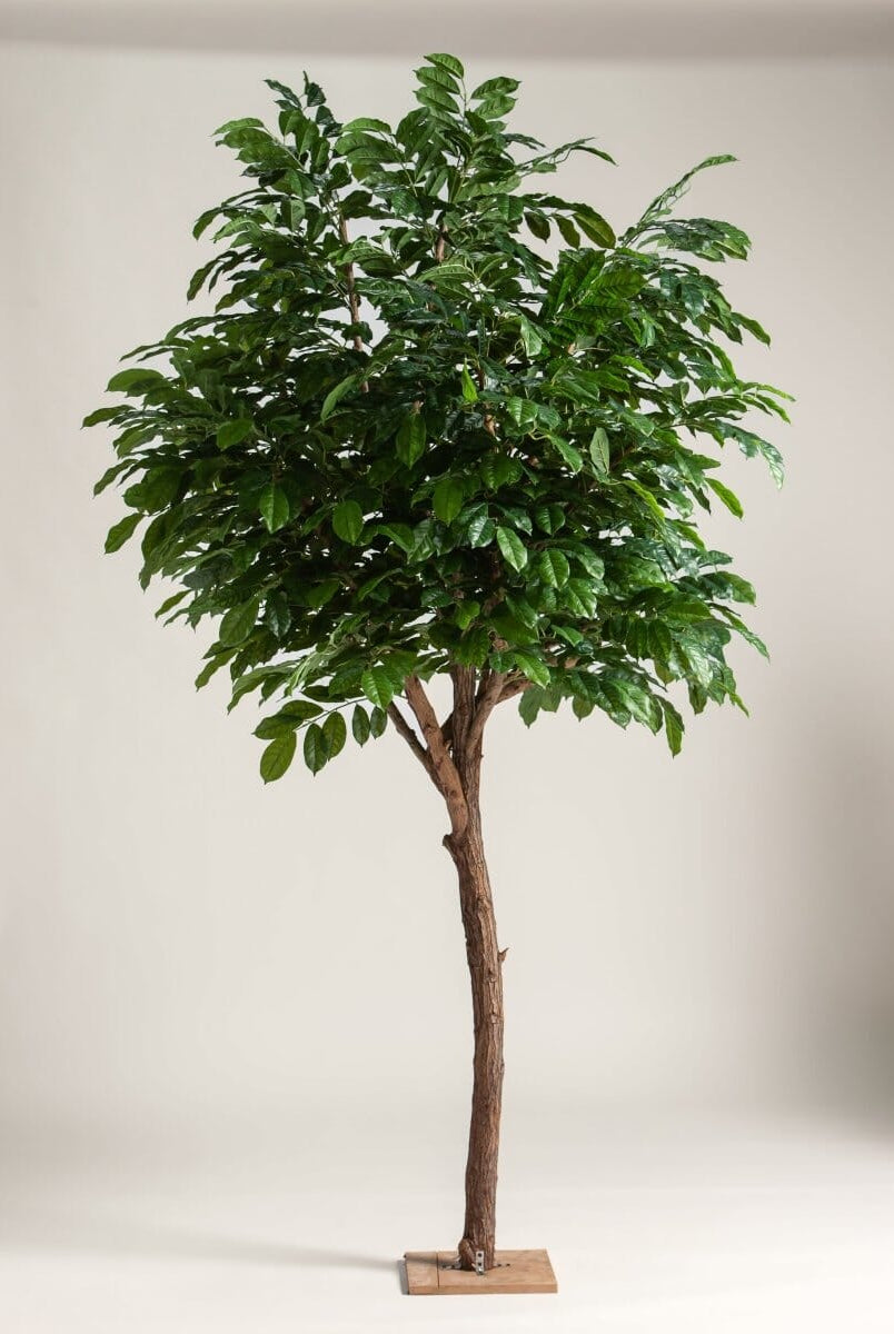 Coffea Arabicaificial Tree With Natural Wood Trunk (3 Sizes)