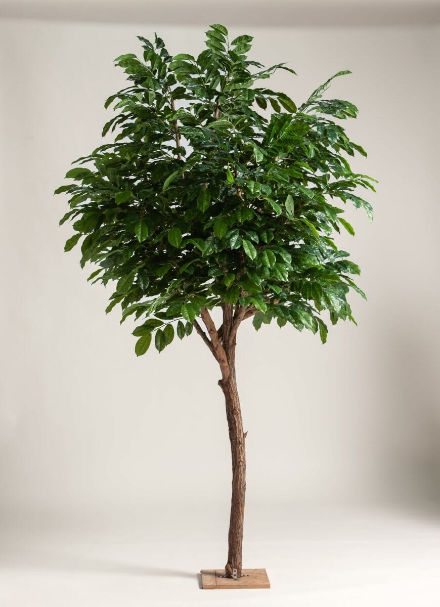 Coffea Arabicaificial Tree With Natural Wood Trunk (3 Sizes)