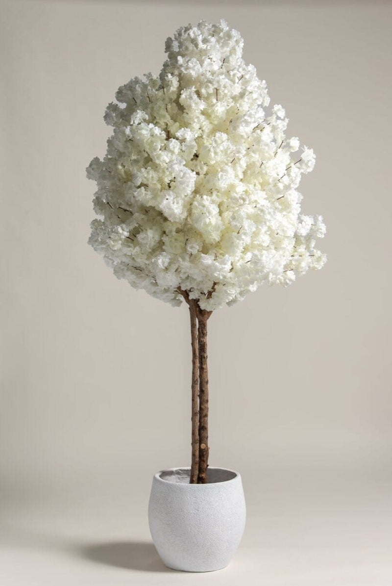 White Cherry Blossom Tree With Natural Wood Trunk