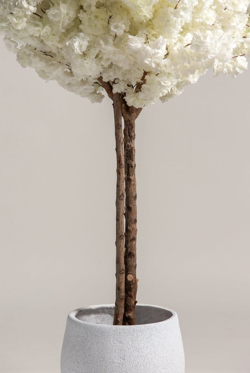 White Cherry Blossom Tree With Natural Wood Trunk (3 Sizes)