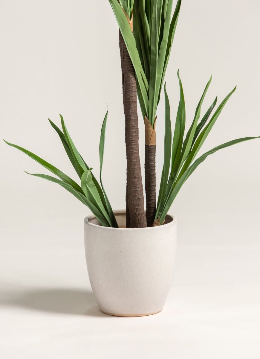 Yucca Elephantipesificial Plant (2 Sizes)(Pot not included)