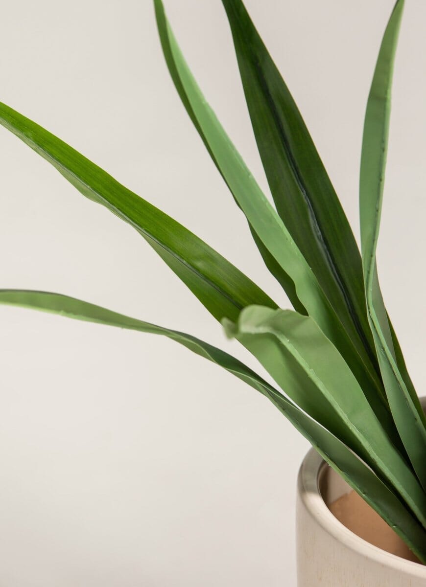 Yucca Elephantipesificial Plant (2 Sizes)(Pot not included)