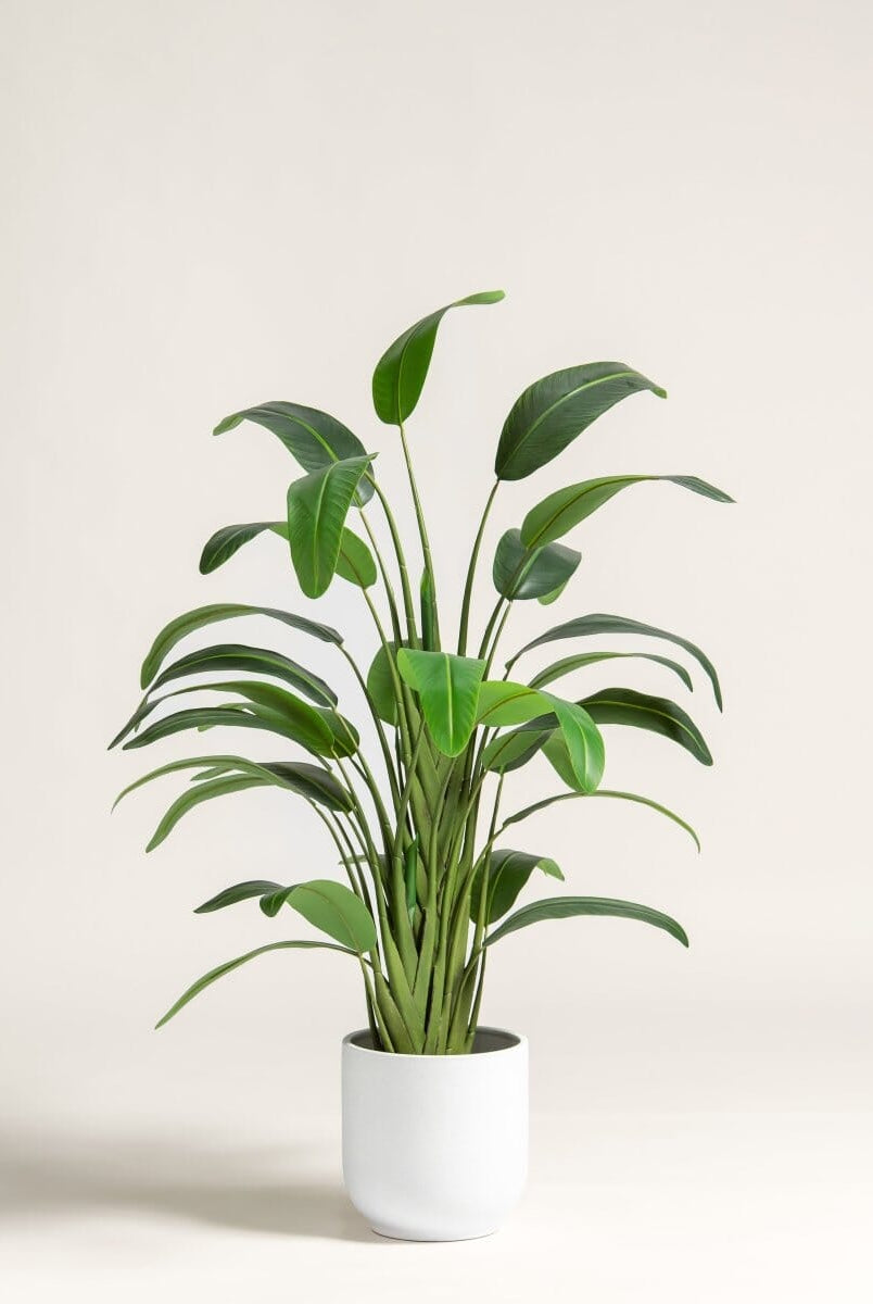 Strelitzia Nicolaiificial Plant II (4 Sizes)(Pot not included)