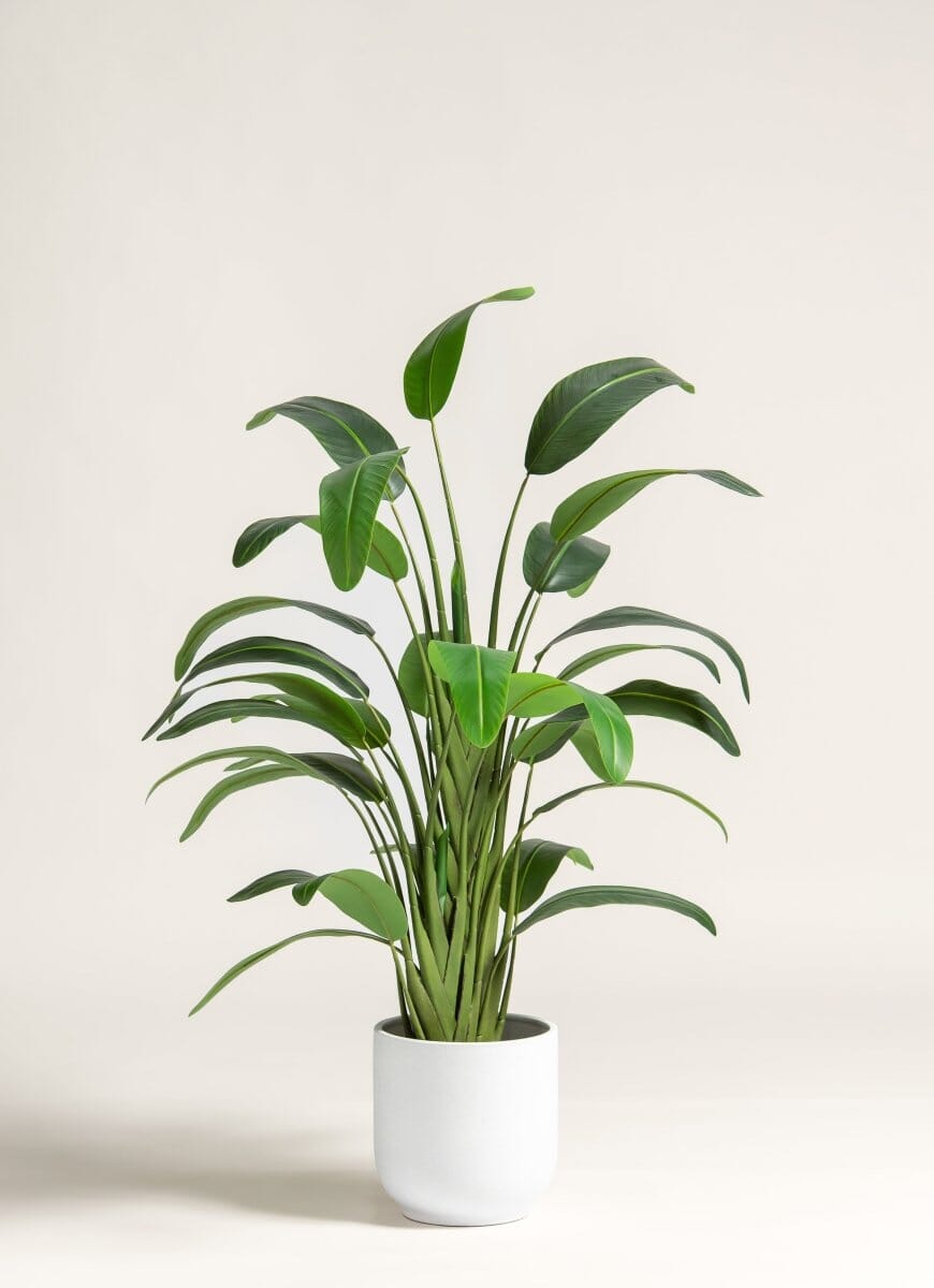 Strelitzia Nicolaiificial Plant II (4 Sizes)(Pot not included)