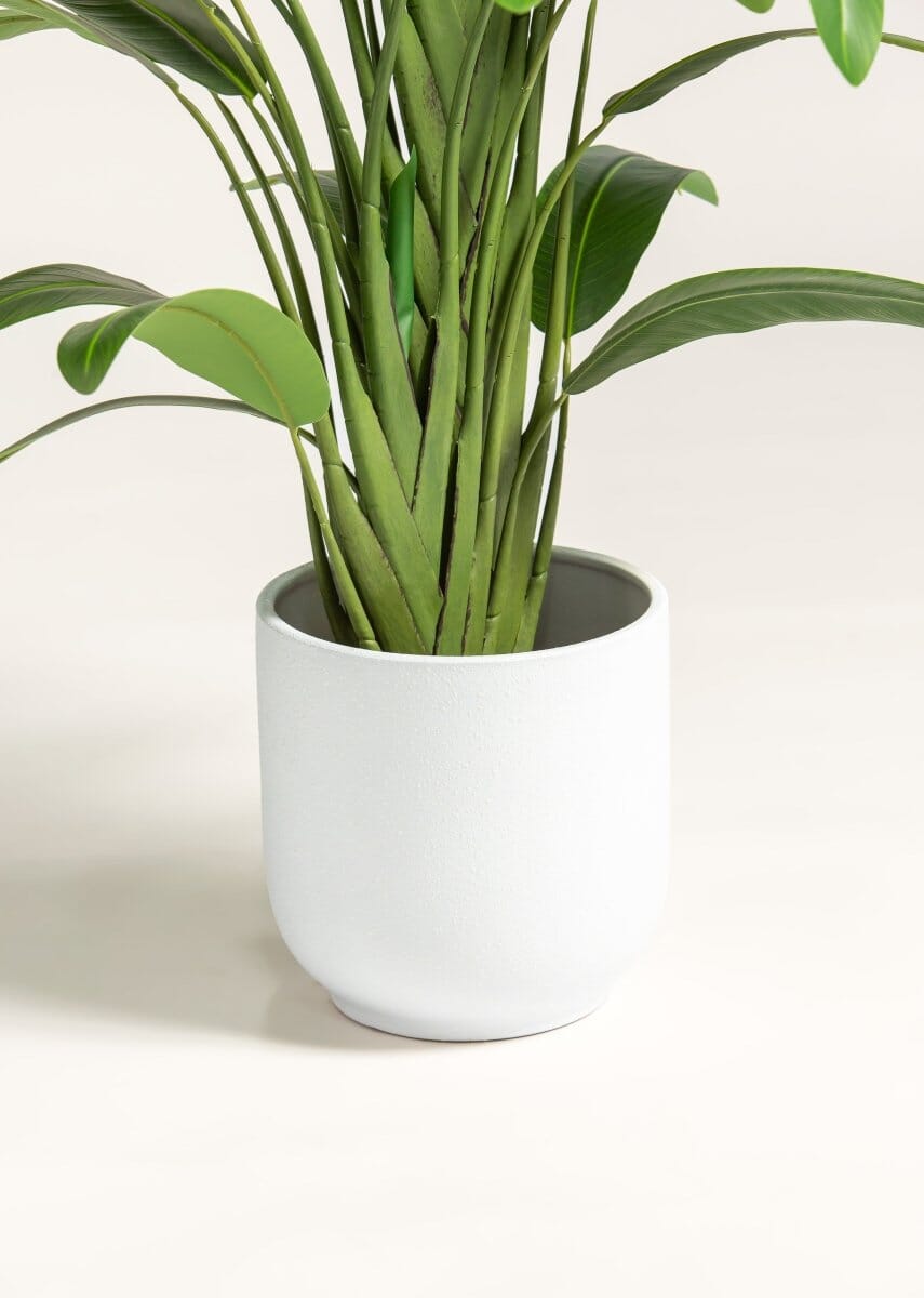 Strelitzia Nicolaiificial Plant II (4 Sizes)(Pot not included)
