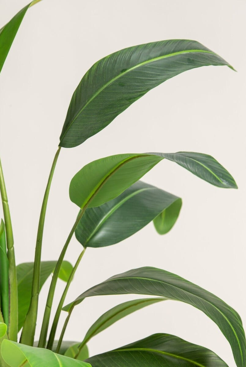 Strelitzia Nicolaiificial Plant II (4 Sizes)(Pot not included)