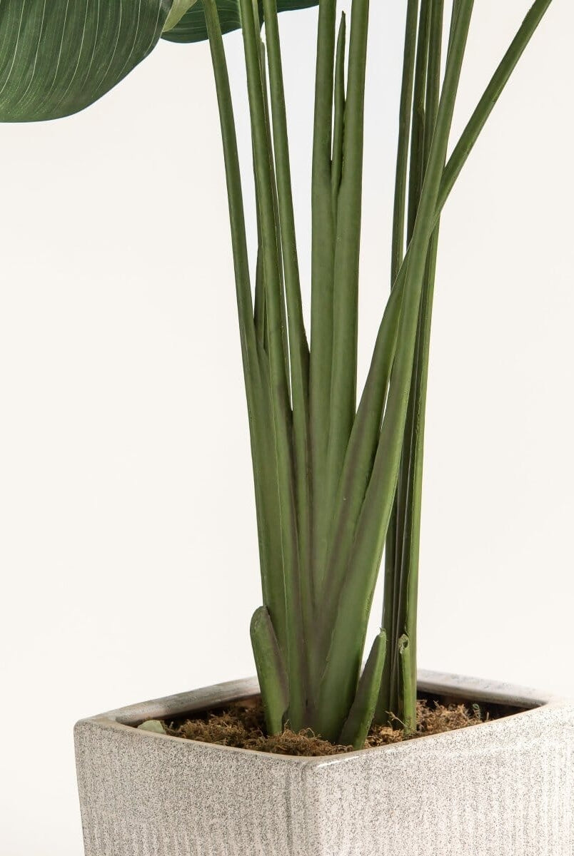 Strelitzia Nicolaiificial Plant III (4 Sizes)(Pot not included)