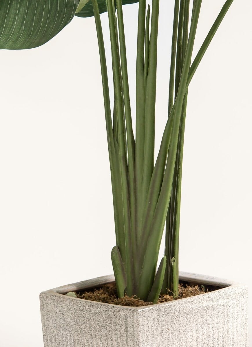 Strelitzia Nicolaiificial Plant III (4 Sizes)(Pot not included)