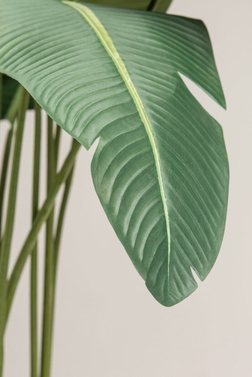 Strelitzia Nicolaiificial Plant III (4 Sizes)(Pot not included)