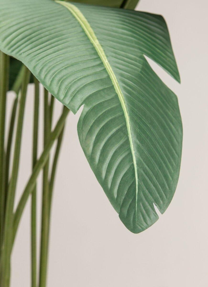 Strelitzia Nicolaiificial Plant III (4 Sizes)(Pot not included)