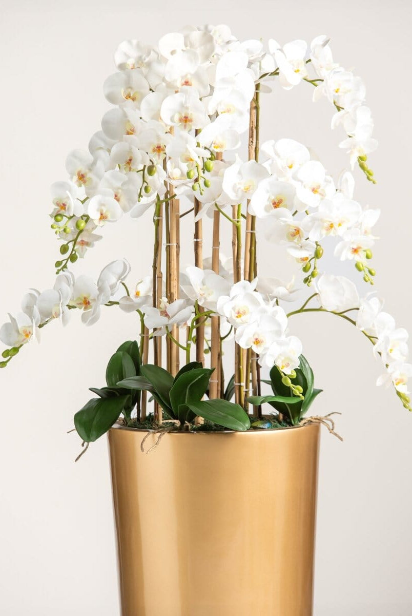 White Phalaenopsis Orchidificial Plant